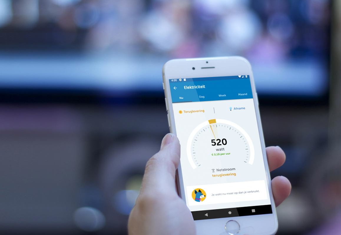 EnergyFlip app elektriciteit inzicht