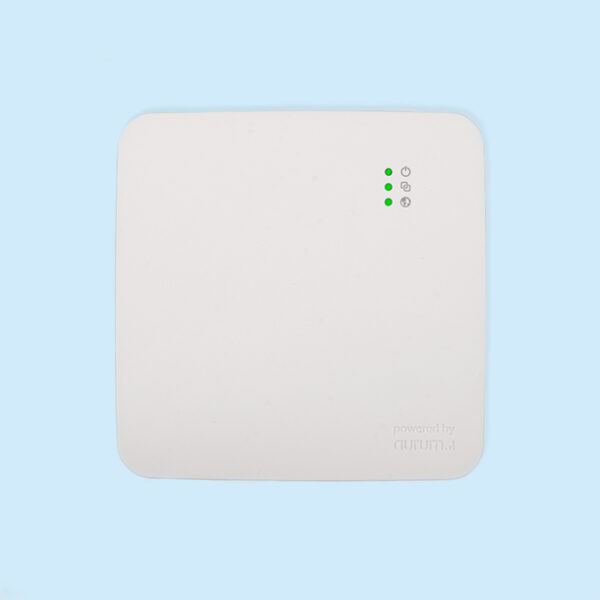 Energieverbruiksmanager EnergyFlip Gateway